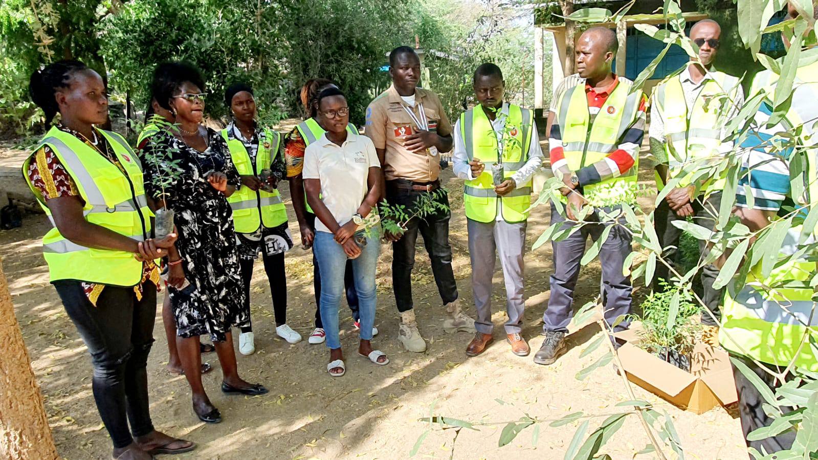 Programs | Turkana Tech Youth Hub
